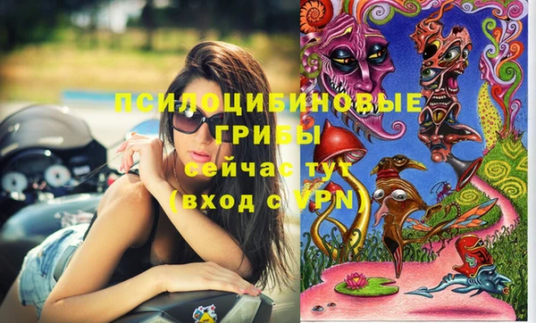 кокаин колумбия Инсар